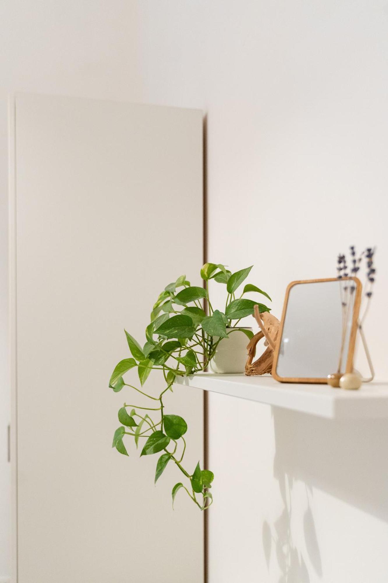 Niu Lux Apartments Cenova Dış mekan fotoğraf